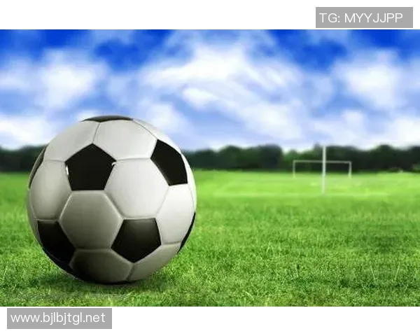 足球狗的奇妙冒险与成长旅程探索球场内外的友情与梦想